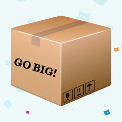 GO BIG! MYSTERY BOX 2x